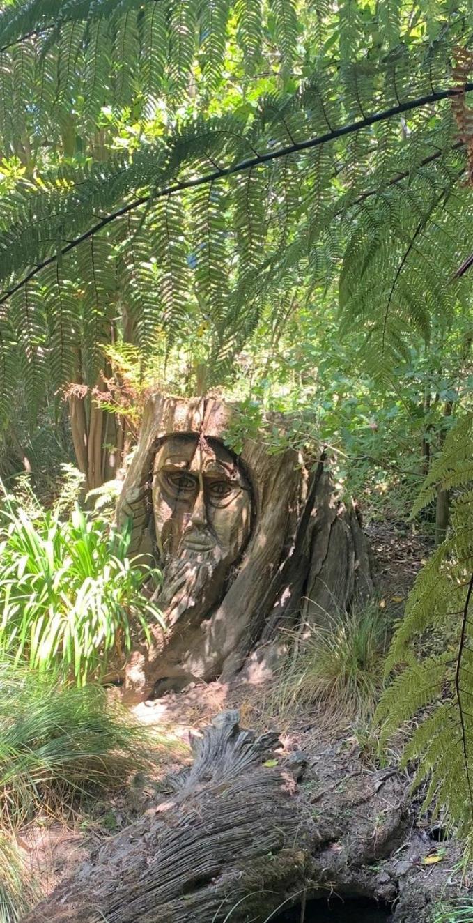 Private Guest Wing - Durie Vale Lodge Whanganui Bagian luar foto